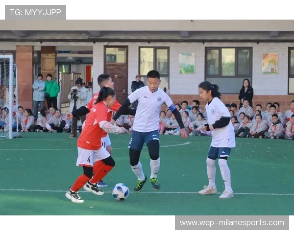 “足协推行足球普及示范学校计划”,足球传统项目学校 “足协推行足球普及示范学校计划”,足球传统项目学校